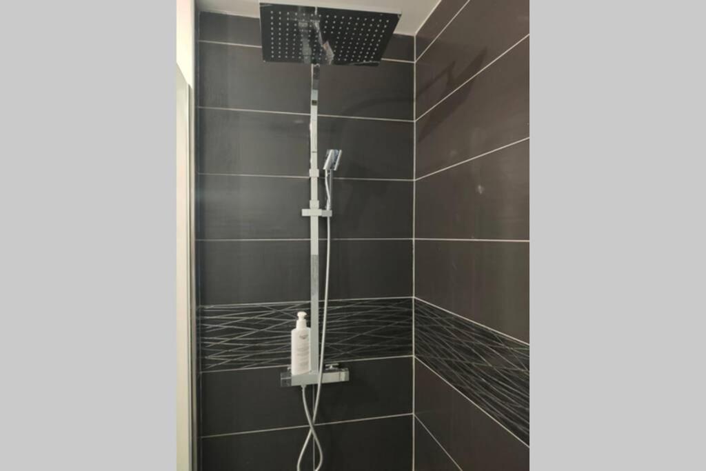 Logement Entier+ Jardin Prive Et Parking 2Places Rouen Dış mekan fotoğraf